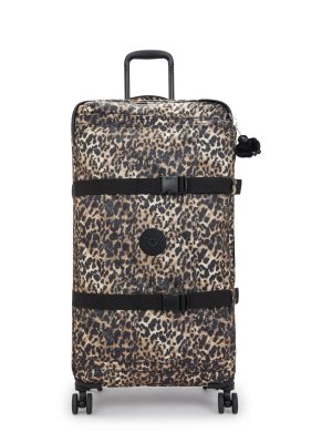 Spontaneous Large Printed Rolling Luggage