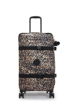 Spontaneous Medium Printed Rolling Luggage