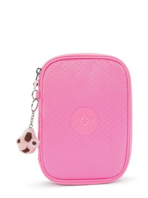 100 Pens Embossed Case