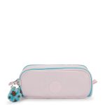 Gitroy Metallic Pencil Case