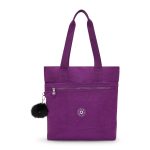 Anris Tote Bag